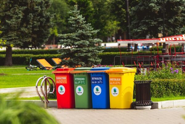 Contenedores de basura de distintos colores para clasificar los residuos, ubicados en un parque.